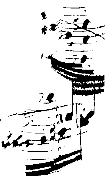vst0111.gif (5313 Byte)